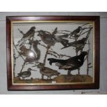 A late 19th century taxidermy group in a parcel gilt mahogany frame including a sparrow hawk, jay,