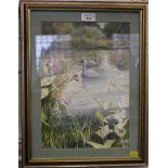 Nancy Larcombe Two swans by a river bank watercolour signed 34cm x 24cm