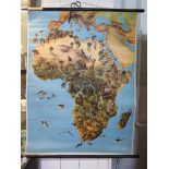 A pictorial map of Africa, published by Georg Westerman no. 553 showing wild animals and plants