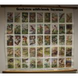 After E. Schroder and others Protected Wildlife Species - forty-five vignettes of wildlife Poster