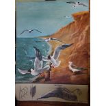 Jung Koch, Quentell Study of Seagulls on Cliffs Poster with linen backing, published by