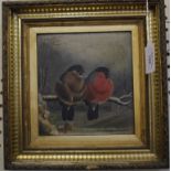 19th century English School A pair of bullfinches in a winter setting Oil on board 19cm x 17.5cm