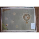 Early 20th century German Study of cells Chromolithograph mounted onto linen 91cm x 62cm