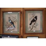 Two 19th century watercolours of birds on branches, the birds highlighted with feathers, 38cm x