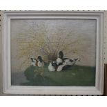 Vernon Ward Ducks resting under rushes Oil on canvas, signed 32cm x 40cm