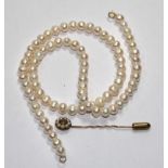 A string of cultured pearls and a pearl set stick pin