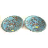 A pair of Chinese cloisonne plates, decorated with exotic birds within flowering branches on a