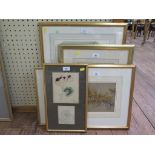 Helen Reed Flower studies watercolours dated June 1872 and four other frames of botanical studies in