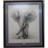 Gary Hodges 'The Charge' - from a drawing of a Bull African Elephant Limited edition signed print,