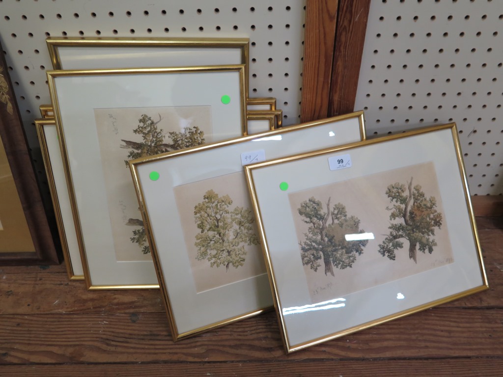 19th century English School Seven studies of a tree branch watercolour most dated in pencil