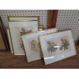 19th century English School Seven studies of a tree branch watercolour most dated in pencil