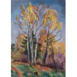 Birch Tree in Autumn