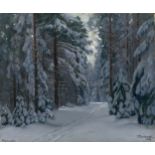 Road in a Wintry Forest