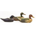 THREE PAINTED WOODEN DECOY DUCKS the largest 34cm in length (3)