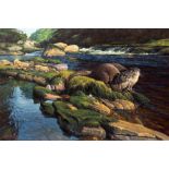 PETER MUNRO (b.1954) 'Otters at the Riverside', oil on canvas, signed lower right, 60.5cm x 93cm