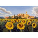 BRUNO TINUCCI (21ST CENTURY ITALIAN SCHOOL) Sunflower field with town beyond, oil on canvas, 70cm