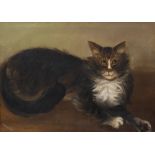 A * WEBSTER (20TH CENTURY ENGLISH SCHOOL) 'Recumbent Cat', oil on canvas, signed lower right, framed