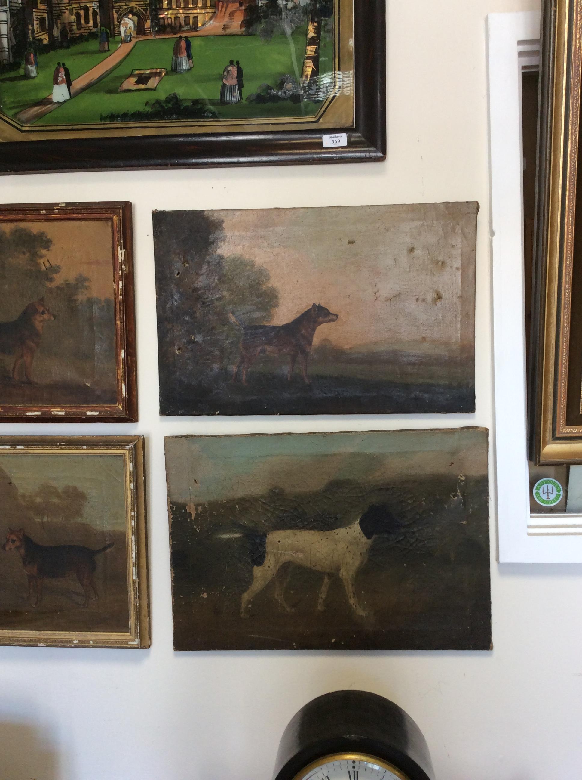 FOUR LATE 18TH / EARLY 19TH CENTURY DOG PORTRAITS oil on canvas, the largest 52cm x 36cm - Image 14 of 18