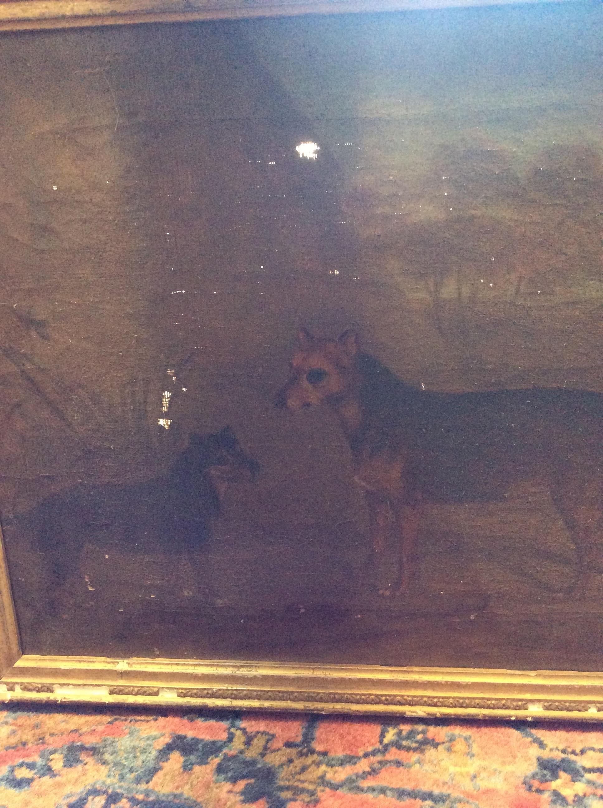 FOUR LATE 18TH / EARLY 19TH CENTURY DOG PORTRAITS oil on canvas, the largest 52cm x 36cm - Image 7 of 18