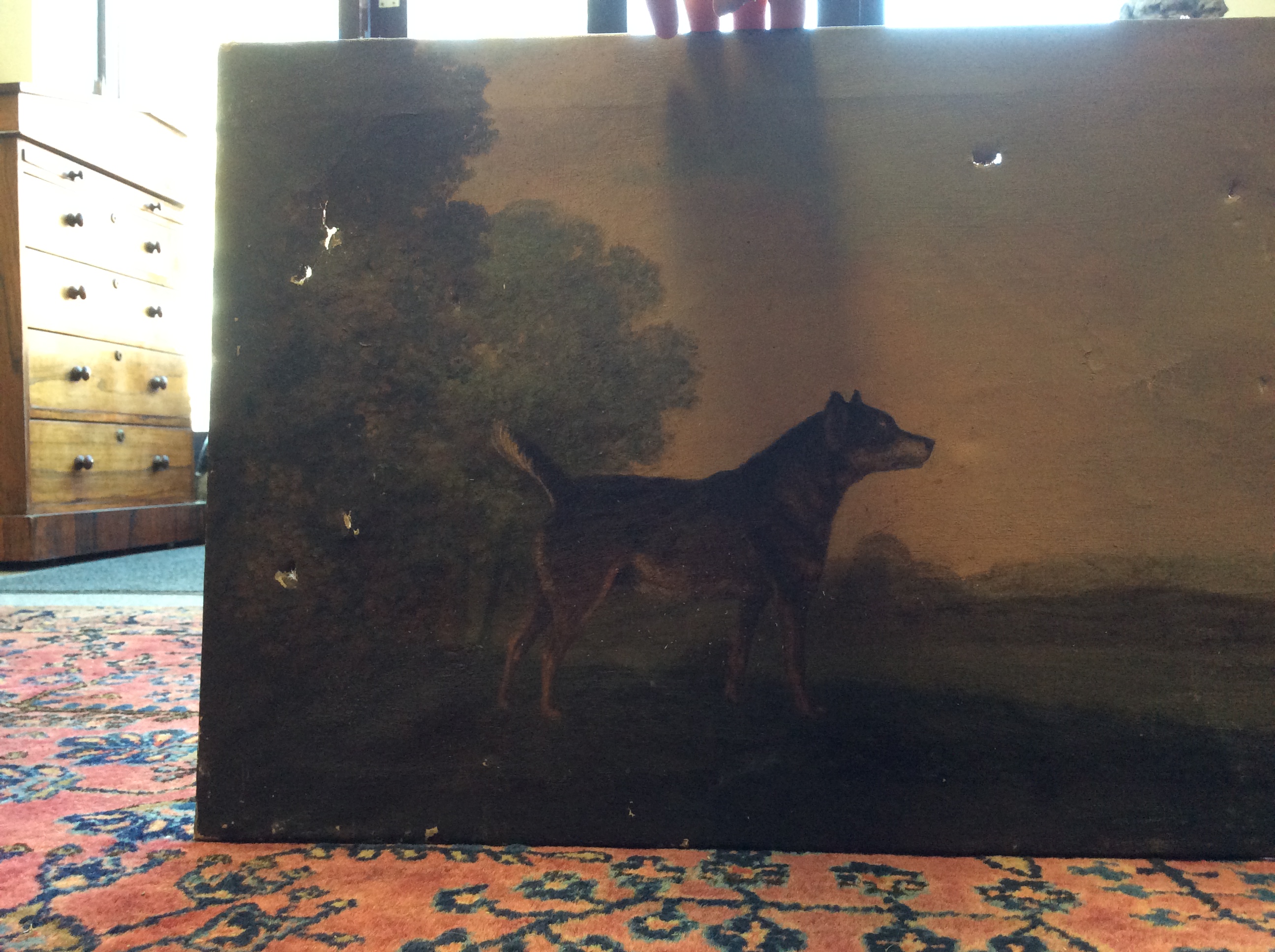 FOUR LATE 18TH / EARLY 19TH CENTURY DOG PORTRAITS oil on canvas, the largest 52cm x 36cm - Image 5 of 18