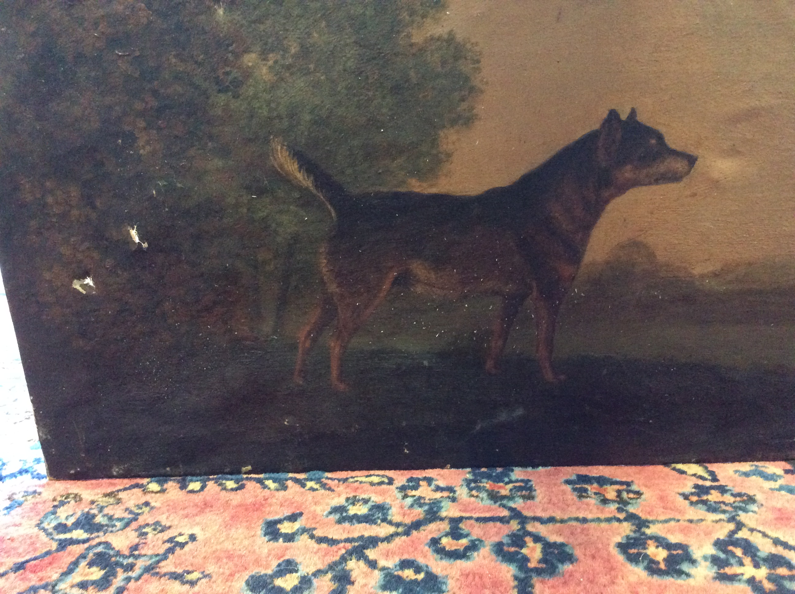 FOUR LATE 18TH / EARLY 19TH CENTURY DOG PORTRAITS oil on canvas, the largest 52cm x 36cm - Image 17 of 18