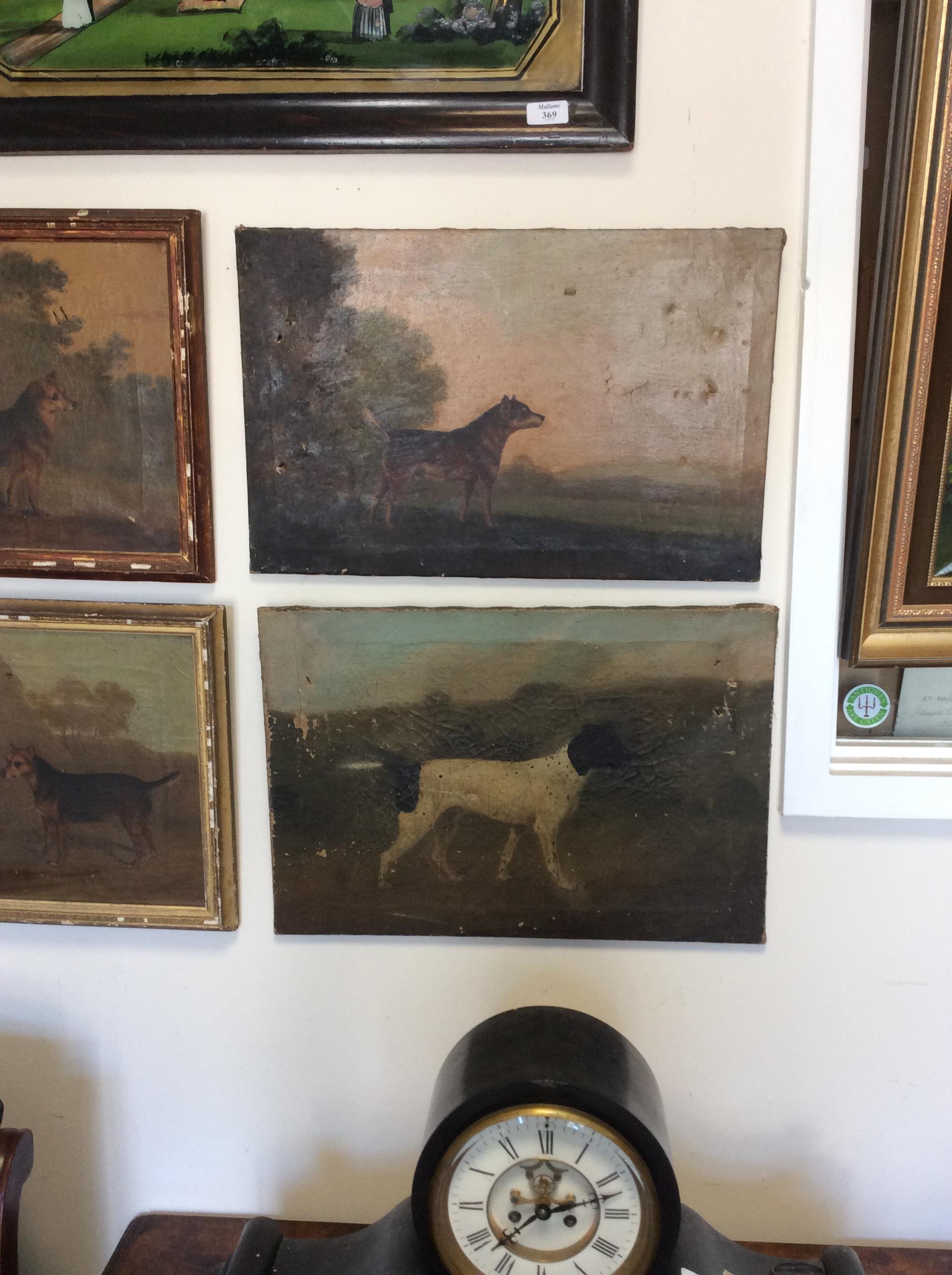 FOUR LATE 18TH / EARLY 19TH CENTURY DOG PORTRAITS oil on canvas, the largest 52cm x 36cm - Image 15 of 18