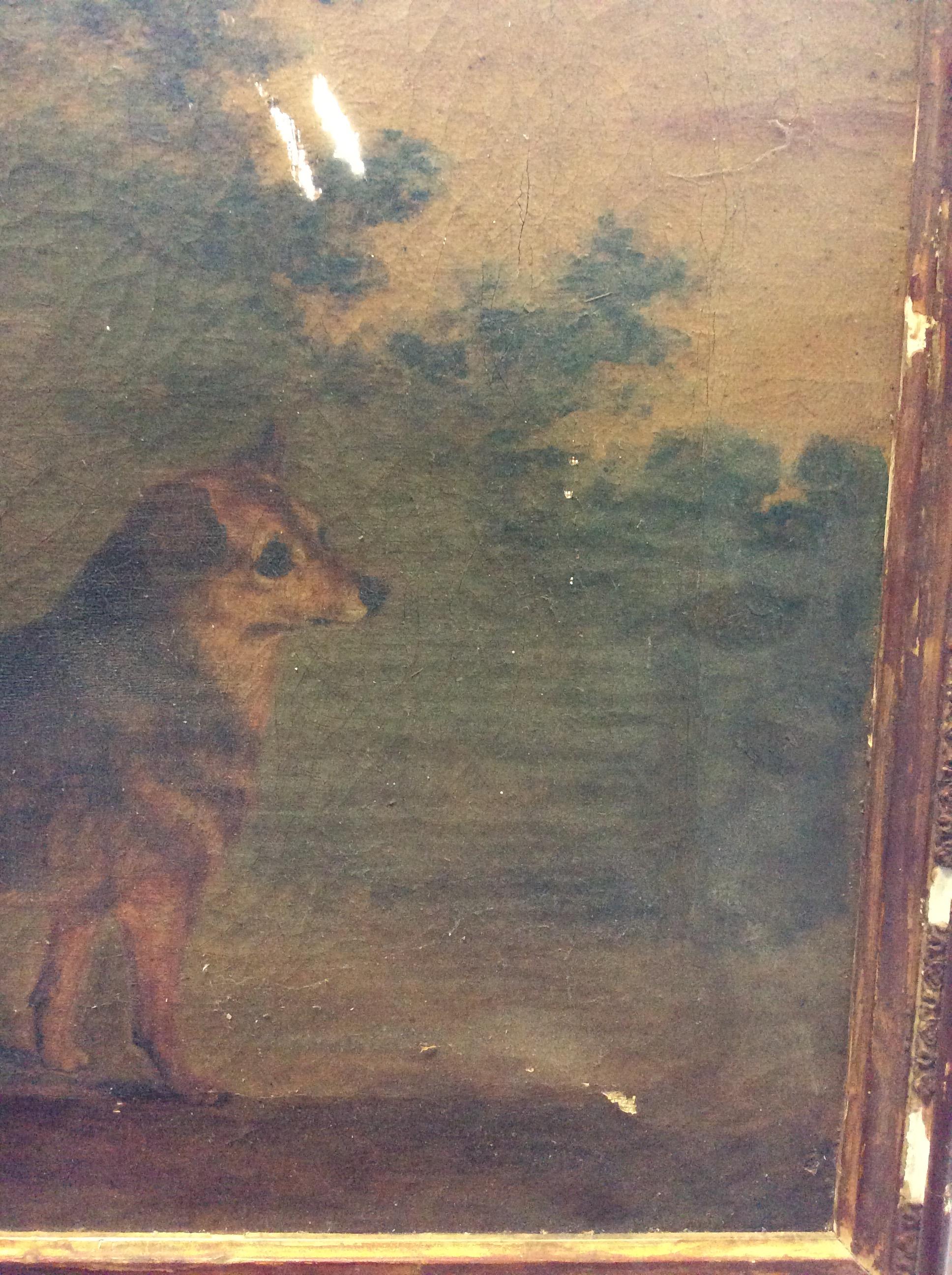 FOUR LATE 18TH / EARLY 19TH CENTURY DOG PORTRAITS oil on canvas, the largest 52cm x 36cm - Image 8 of 18