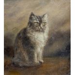 ATTRIBUTED TO LILIAN CHEVIOT (1884-1932) 'Seated Cat', oil on board, inscribed to the reverse