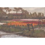 A LATE 19TH / EARLY 20TH CENTURY CONTINENTAL FIELD OF FLOWERS SCENE oil on board 24cm x 33.5cm