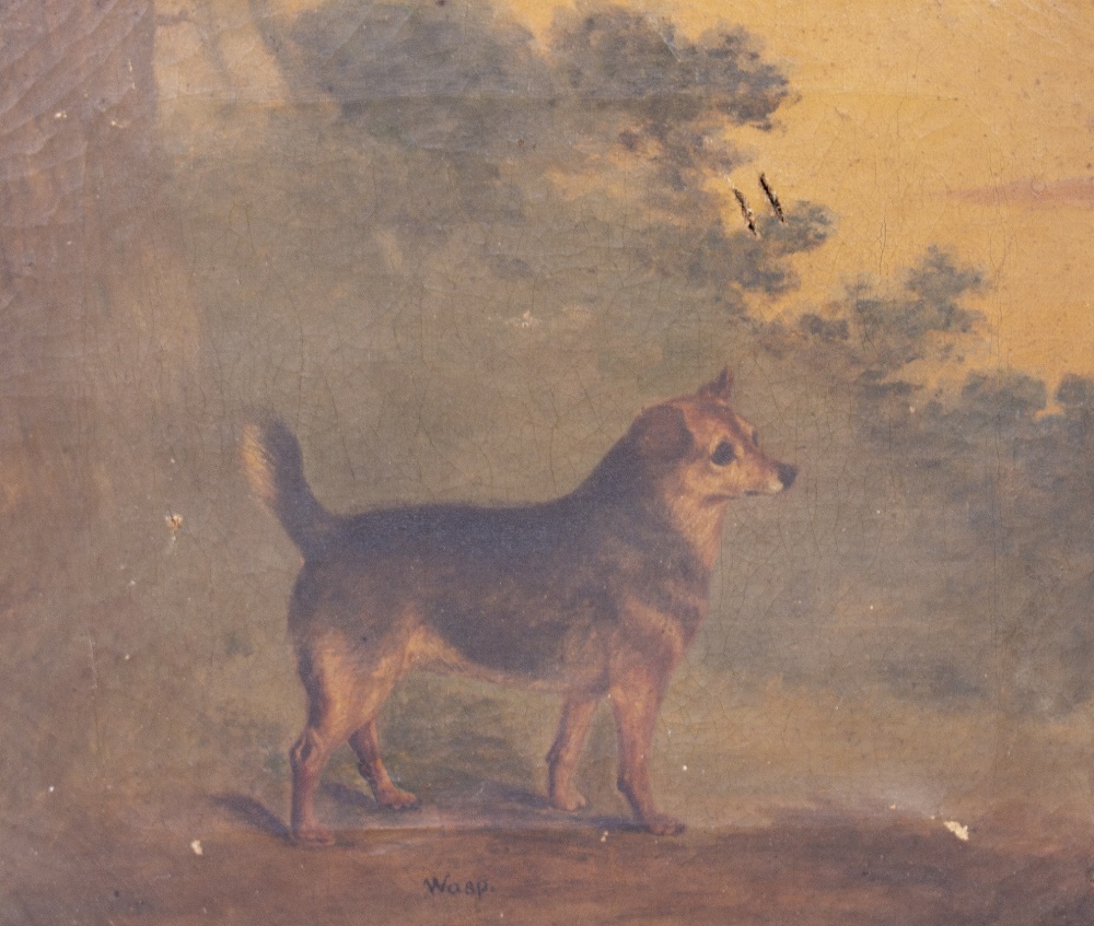 FOUR LATE 18TH / EARLY 19TH CENTURY DOG PORTRAITS oil on canvas, the largest 52cm x 36cm - Image 3 of 18