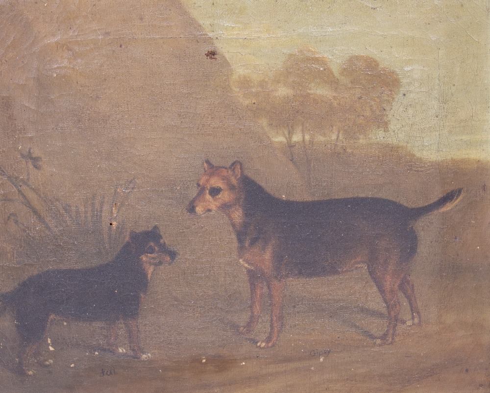 FOUR LATE 18TH / EARLY 19TH CENTURY DOG PORTRAITS oil on canvas, the largest 52cm x 36cm - Image 4 of 18