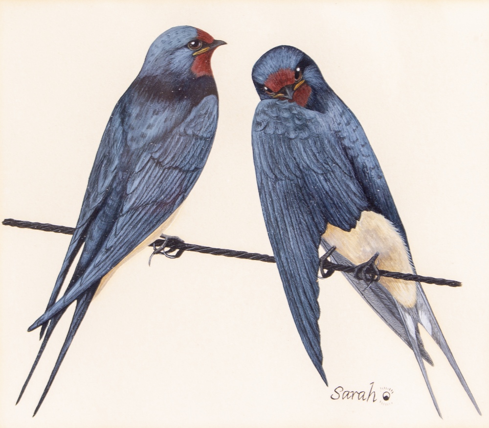 SARAH MERLEN (20TH CENTURY ENGLISH SCHOOL) 'Studies of swallows' watercolour, heightened with - Image 6 of 7