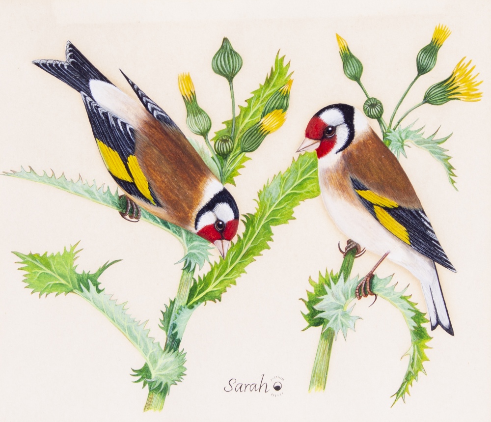 SARAH MERLEN (20TH CENTURY ENGLISH SCHOOL) 'Studies of swallows' watercolour, heightened with - Image 4 of 7