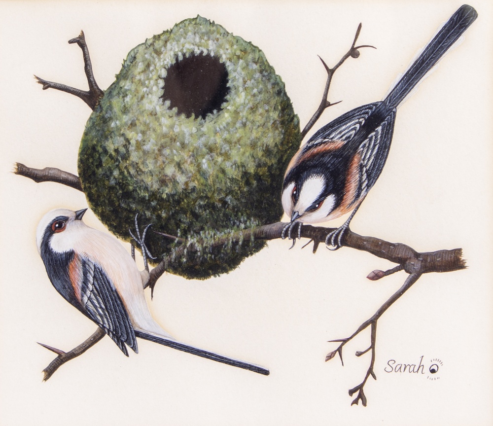 SARAH MERLEN (20TH CENTURY ENGLISH SCHOOL) 'Studies of swallows' watercolour, heightened with - Image 5 of 7