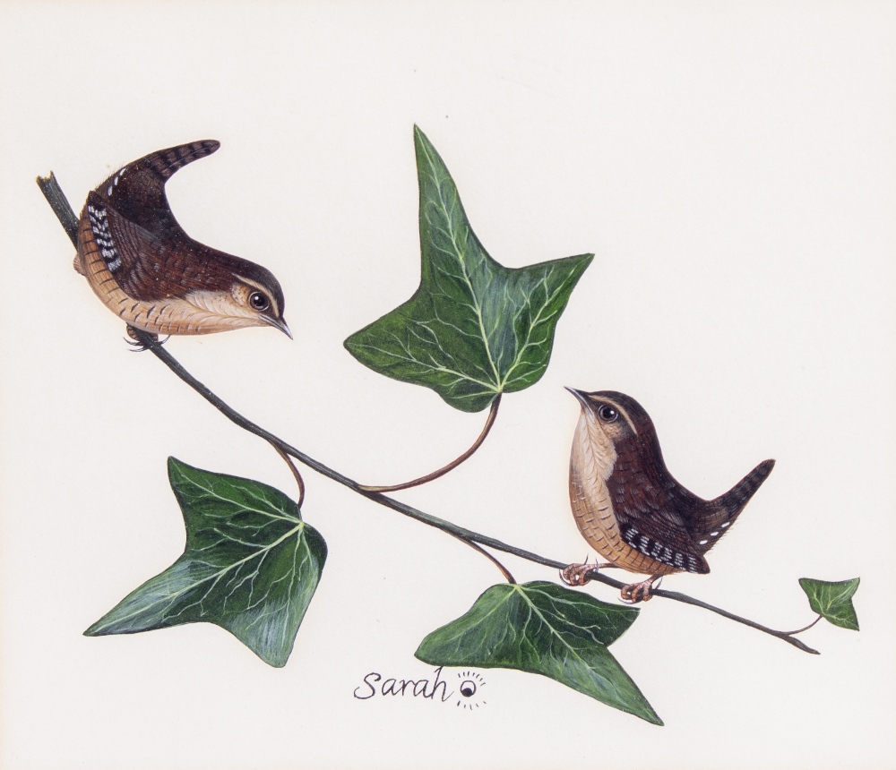 SARAH MERLEN (20TH CENTURY ENGLISH SCHOOL) 'Studies of swallows' watercolour, heightened with - Image 3 of 7