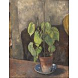 PETER TODD Still life - a potted plant, inscribed verso, oil on board, 42.5 x 33cm; and - still life