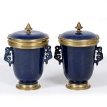 A PAIR OF LATE 19TH CENTURY CHINESE STYLE PORCELAIN VASES with covers on a blue mottled ground