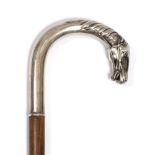 A CONTINENTAL HARDWOOD WALKING CANE the white metal crook handle in the form of a horses head with