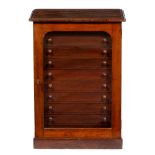 A VICTORIAN MAHOGANY SPECIMEN CABINET with raised panel door standing on a plinth base 50cm wide x