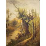 A PAIR OF LARGE VICTORIAN LANDSCAPE OIL PAINTINGS ON CANVAS in gilded gesso frames, the painting