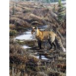 ALAN M HUNT (LATE 20TH CENTURY SCHOOL) 'Wild Fox', gouache, signed lower left and dated 1993, 67cm x