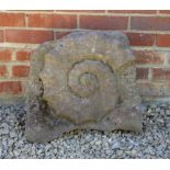 AN OLD CARVED AND WEATHERED STONE SCULPTURE depicting a fossil, 50cm wide x 45cm high