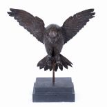 LATE 20TH CENTURY SCHOOL bird of prey with wings outstretched, bronze, indistinctly signed with a