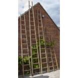 A COLLECTION OF FIVE BAMBOO LADDERS the largest 58cm wide at the base and 496cm high (5)