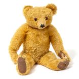 A MERRYTHOUGHT GOLD MOHAIR JOINTED BEAR with glass eyes and protruding shaved snout, 61cm long