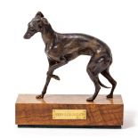 A BRONZE FIGURE OF A GREYHOUND on polished wooden plinth base with plaque inscribed 'Stormy Gale