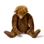 AN EARLY TO MID 20TH CENTURY GERMAN JOINTED PLUSH CINNAMON GLASS EYED MOHAIR BEAR with a hump back