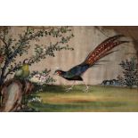 Three rice paper drawings Chinese, 19th/20th Century watercolours, each depicting exotic birds