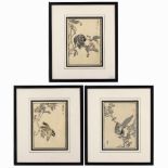 Set of three woodblock prints Japanese, 20th Century each depicting a bird perched on a branch