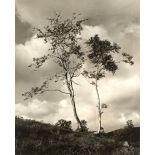 R. A. Palgrave (British, 20th Century) Landscape photography, mid 20th Century a collection of